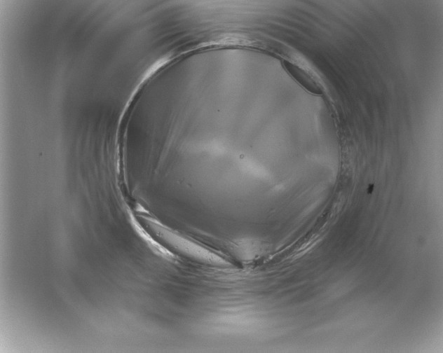 X0000061751095200512161710