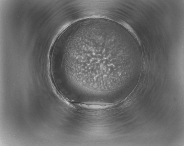 X0000061751096200512161710