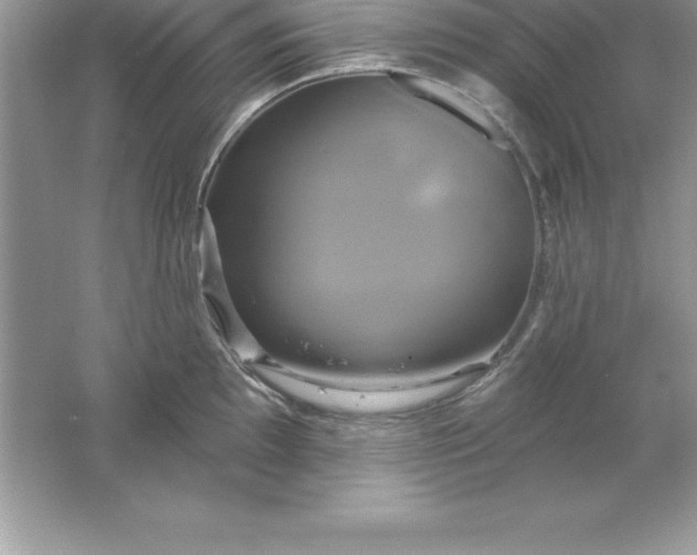 X0000061751097200512161710