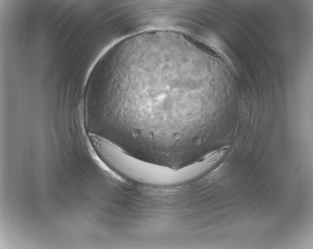 X0000061751100200512161710