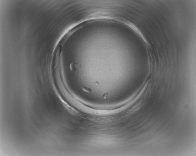 X0000061751101200512161710