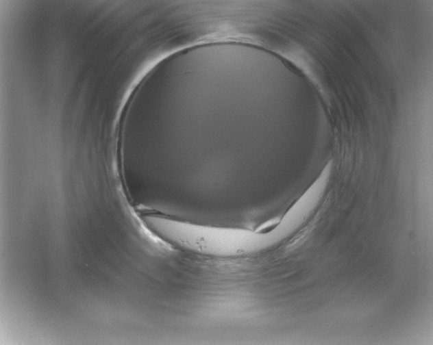 X0000061751102200512161710