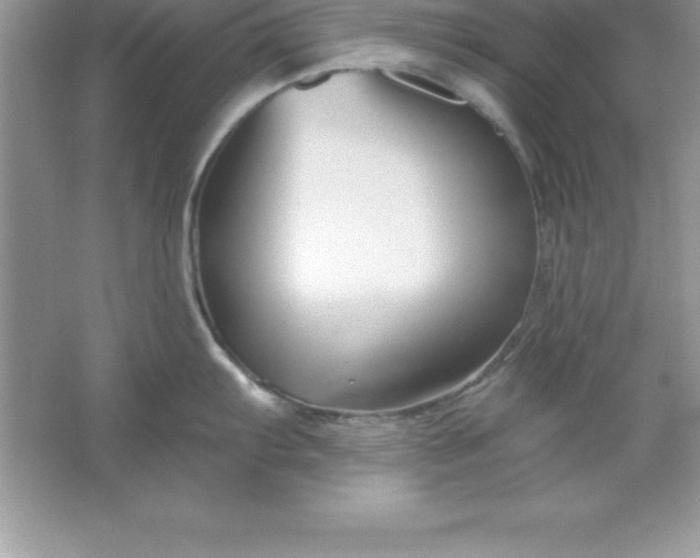 X0000061751103200512161710