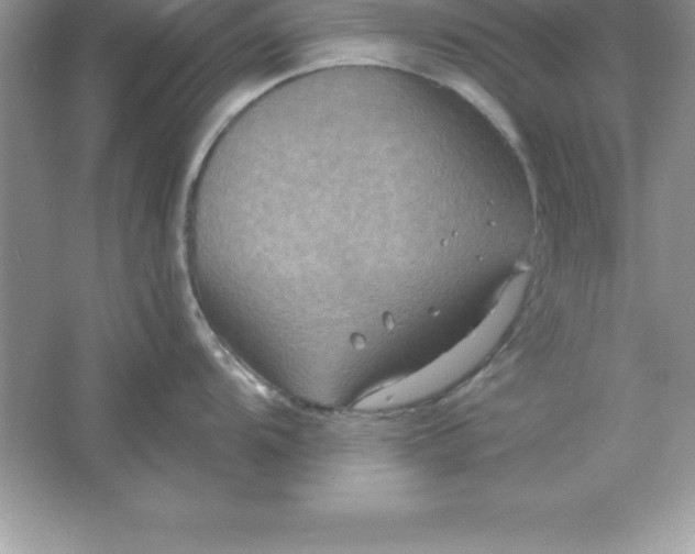 X0000061751104200512161710