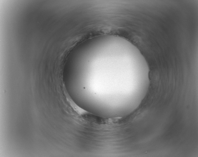 X0000061751105200512161709