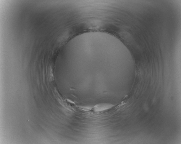 X0000061751106200512161709