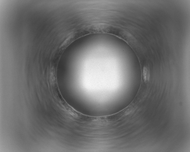 X0000061751107200512161709