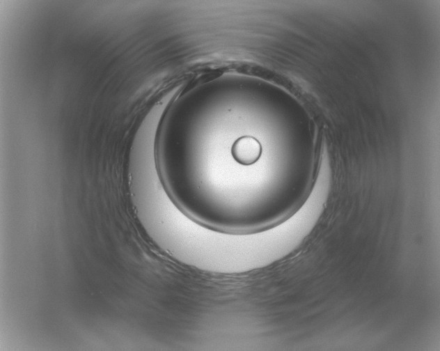 X0000061751110200512161709