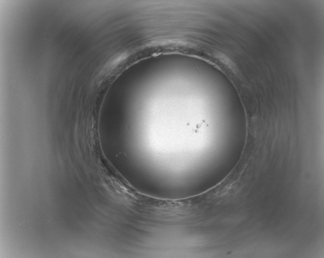 X0000061751111200512161709