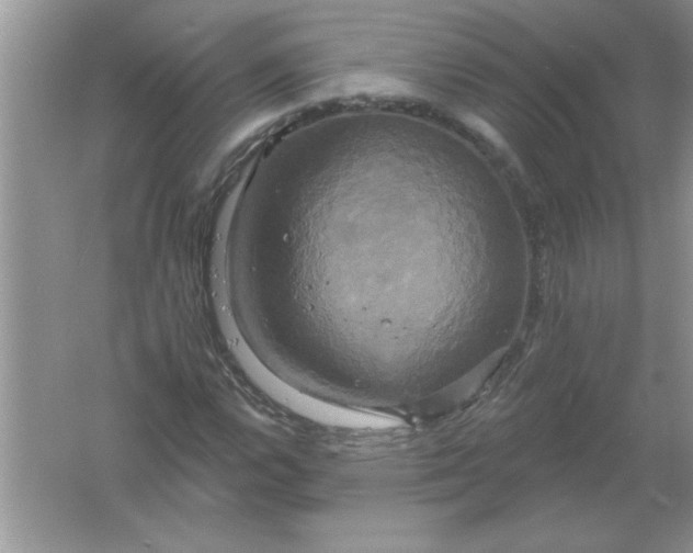 X0000061751112200512161709