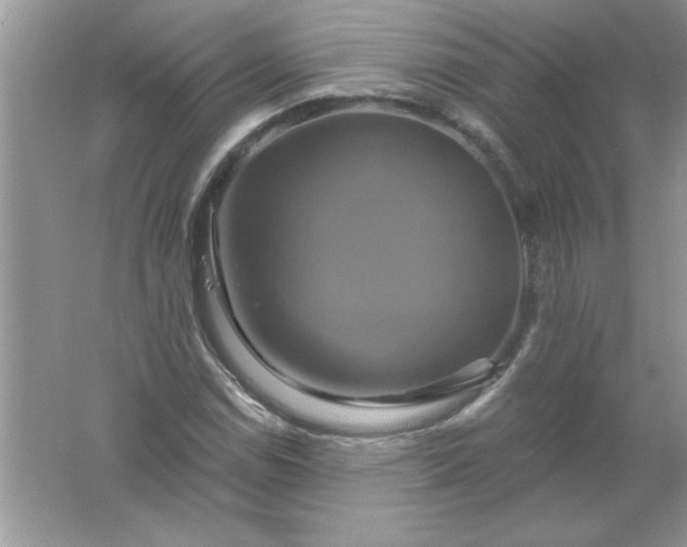 X0000061751114200512161709