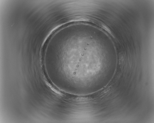 X0000061751116200512161709