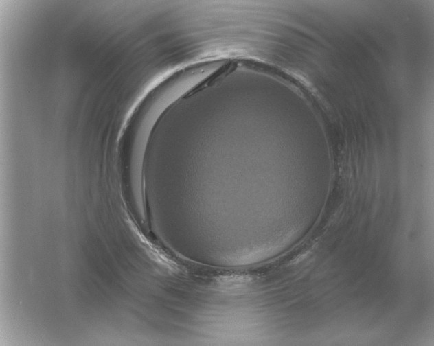 X0000061751118200512161709