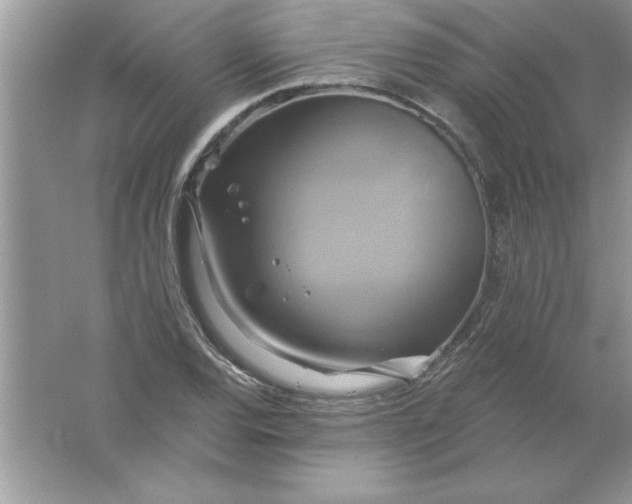 X0000061751120200512161709