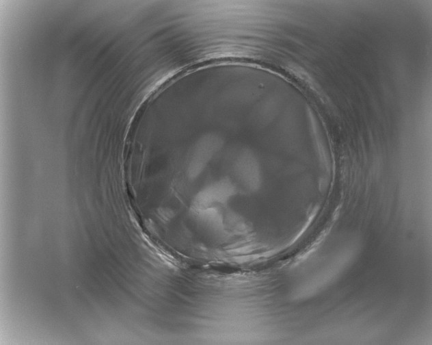 X0000061751121200512161709