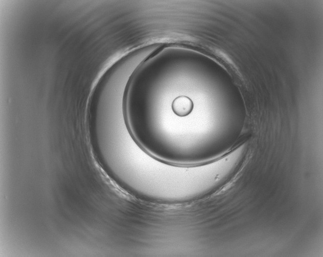 X0000061751122200512161709