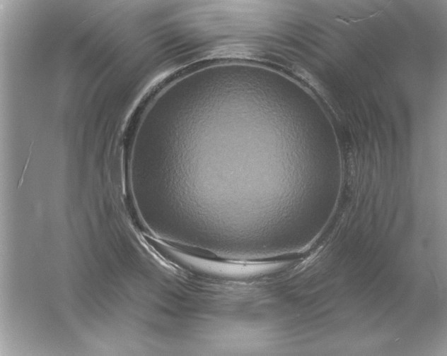 X0000061751123200512161709