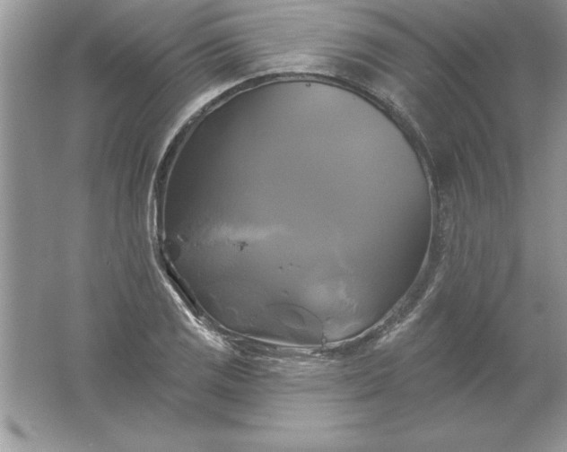 X0000061751125200512161709