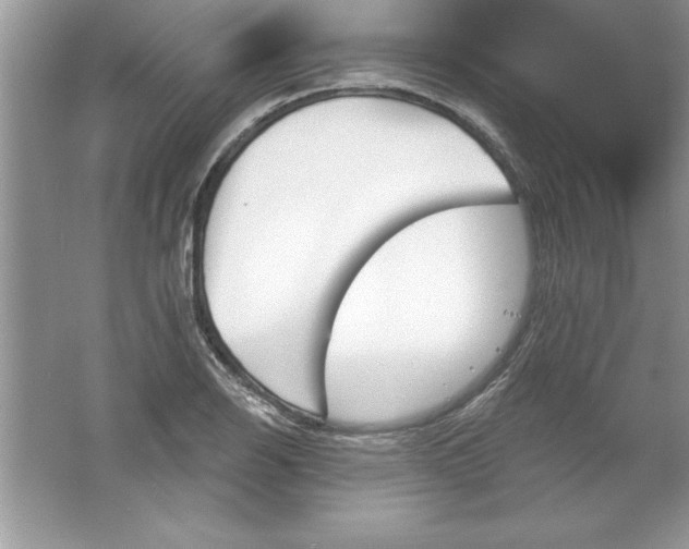 X0000061751126200512161709