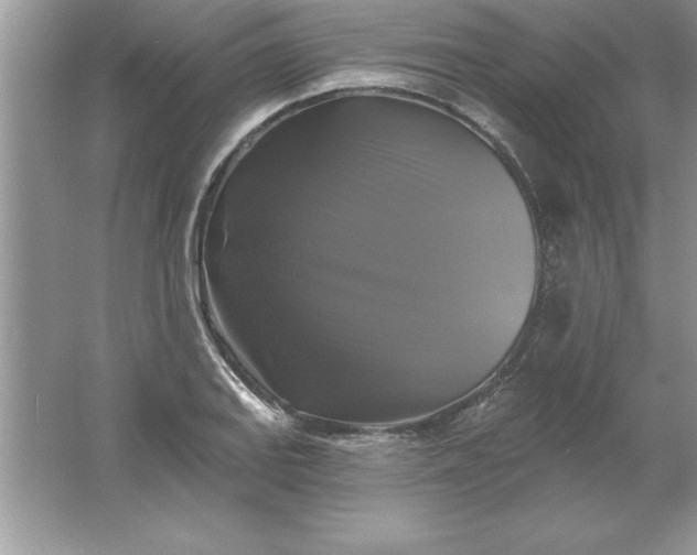 X0000061751127200512161709