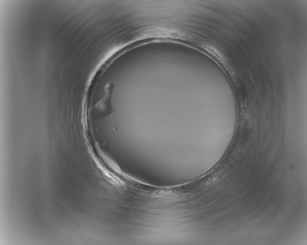 X0000061751128200512161709