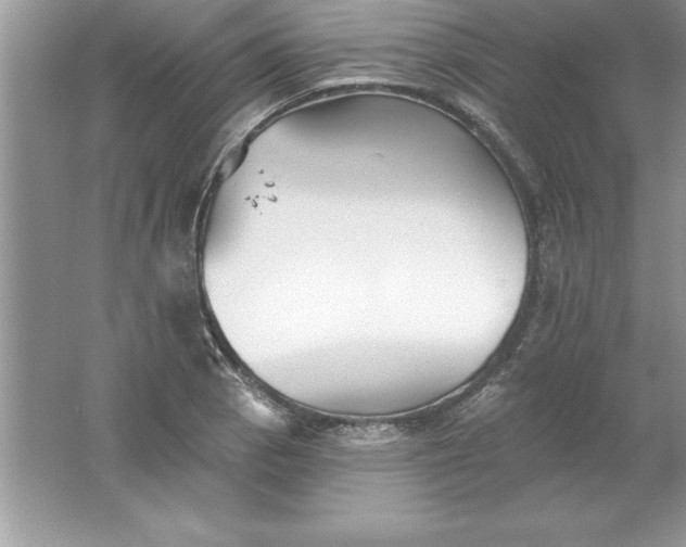 X0000061751129200512161709