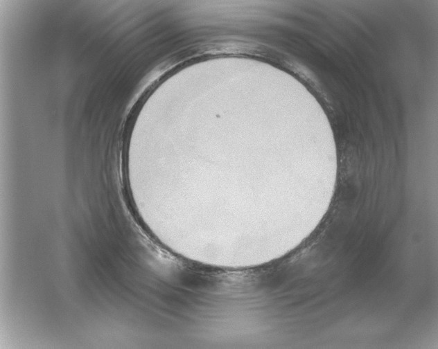 X0000061751130200512161709