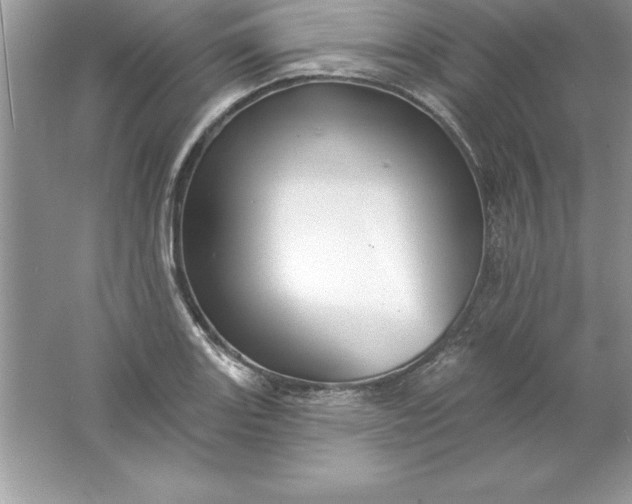 X0000061751131200512161709