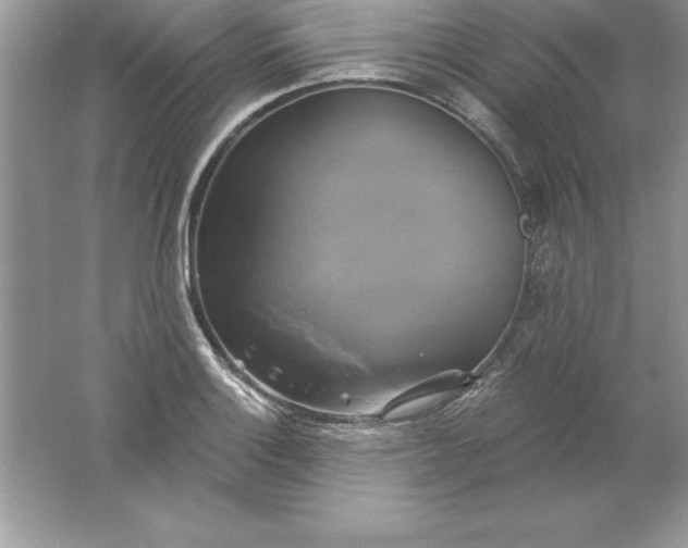 X0000061751132200512161710