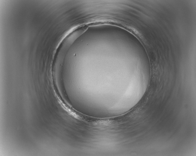 X0000061751134200512161710