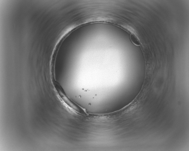 X0000061751135200512161710