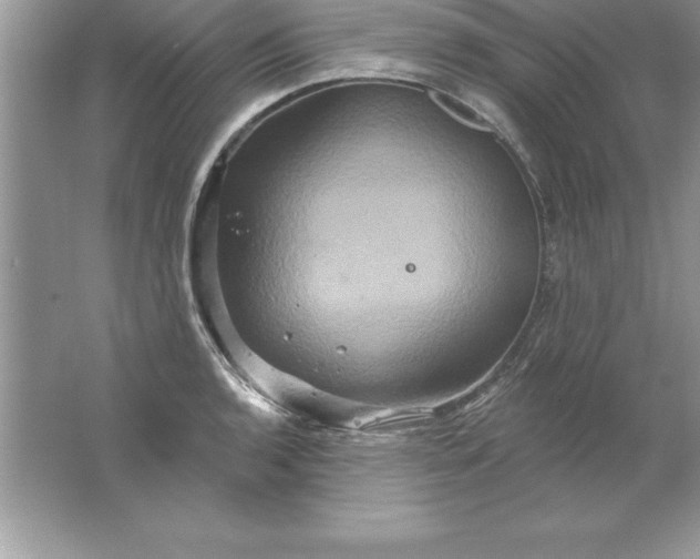 X0000061751136200512161710