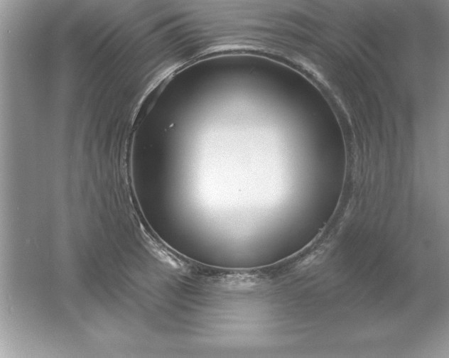 X0000061751137200512161710