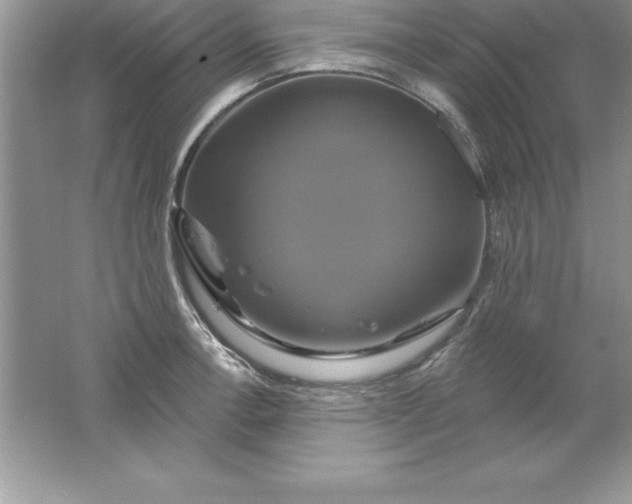 X0000061751138200512161710