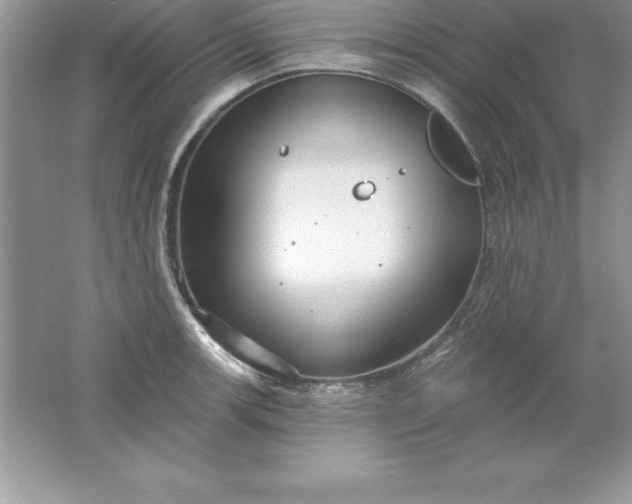 X0000061751139200512161710