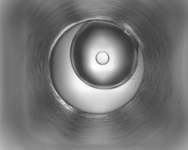 X0000061751140200512161710