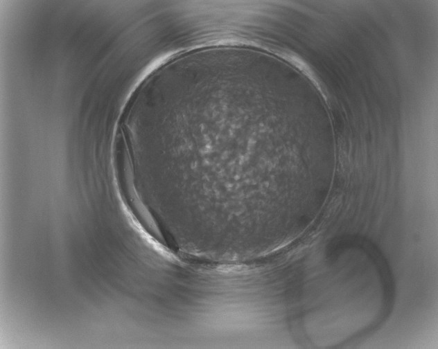 X0000061751142200512161710