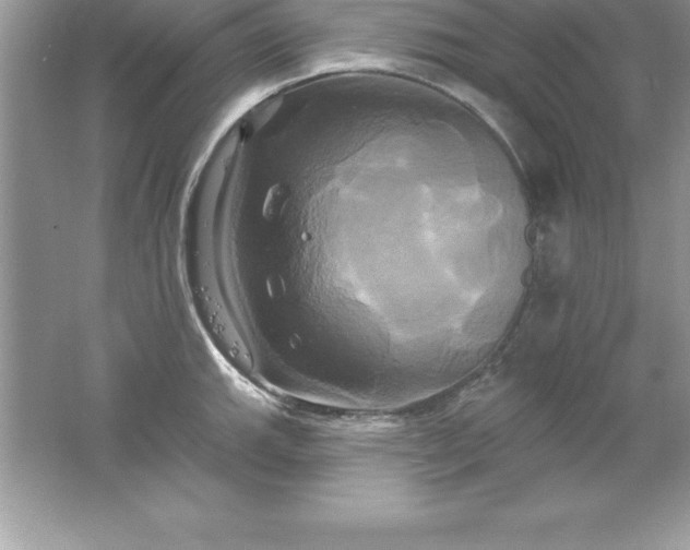 X0000061751143200512161710