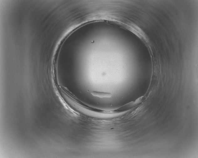 X0000061751144200512161710