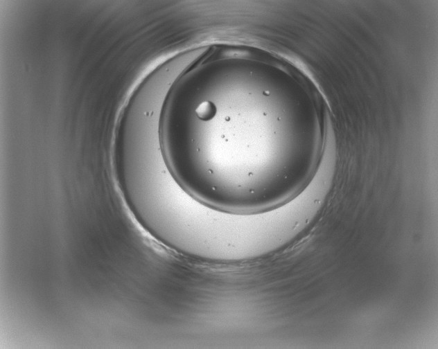 X0000061751147200512161710