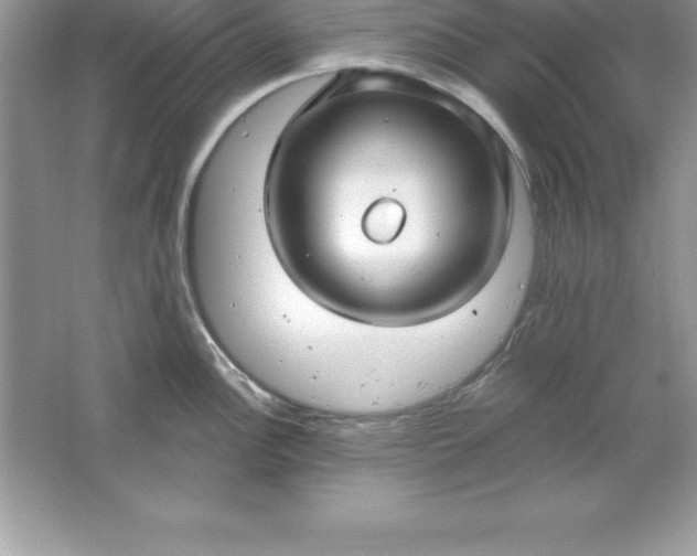 X0000061751148200512161710