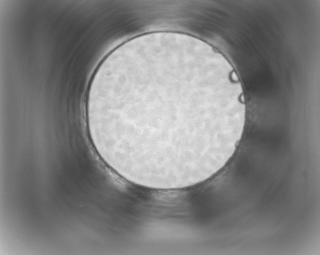 X0000061751150200512161710