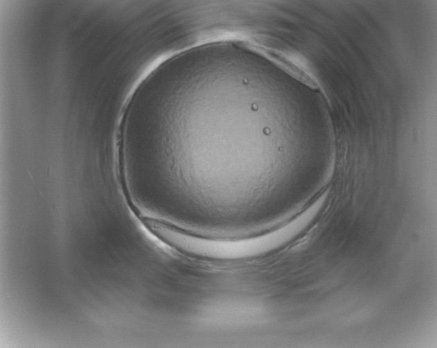 X0000061751151200512161710