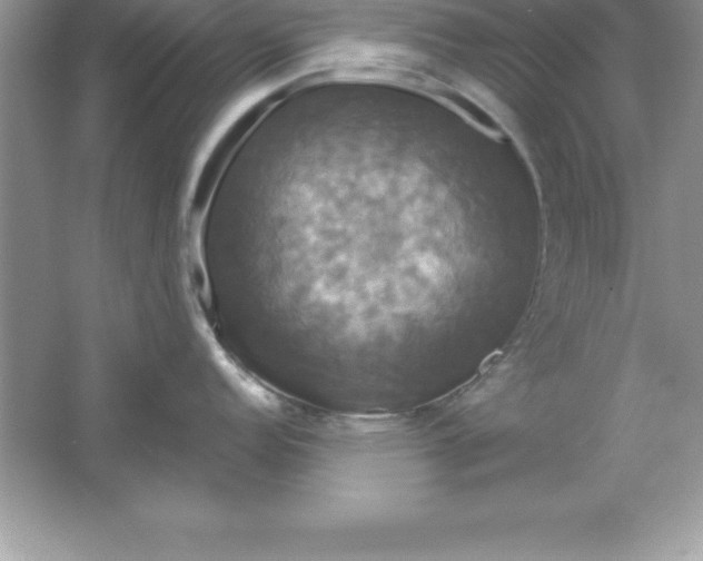 X0000061751152200512161710