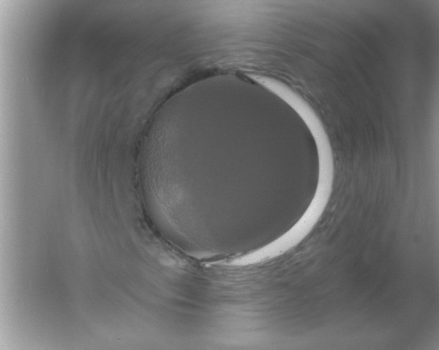 X0000061751153200512161709