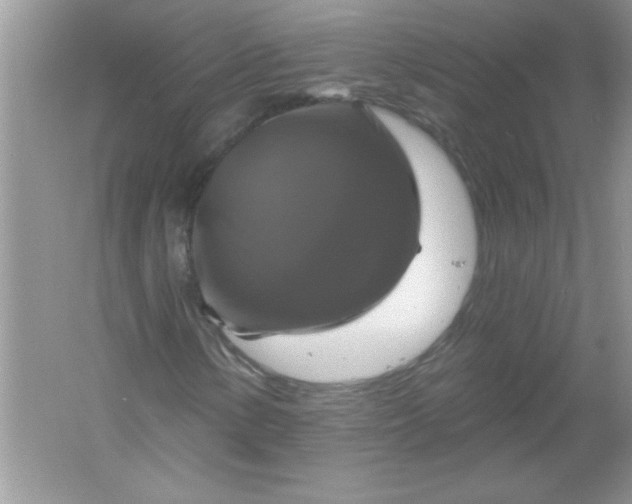 X0000061751154200512161709