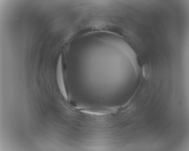 X0000061751155200512161709