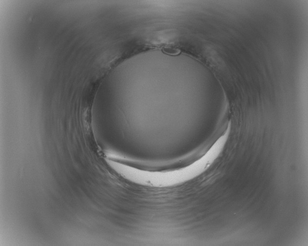 X0000061751156200512161709