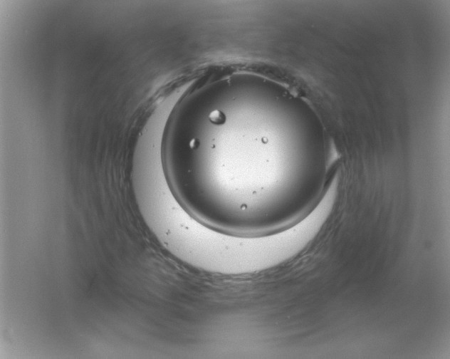 X0000061751157200512161709