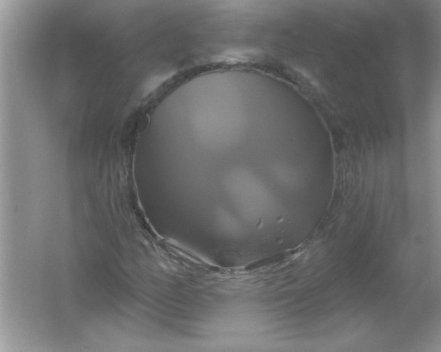 X0000061751158200512161709